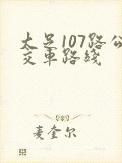大足107路公交车路线