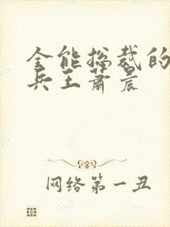 全能总裁的全能兵王萧晨
