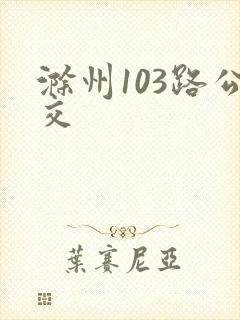 滁州103路公交