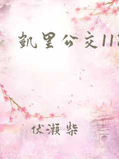 凯里公交11路