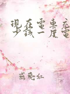 现在电车充电多少钱一度电
