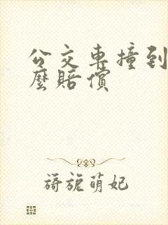 公交车撞到人怎么赔偿