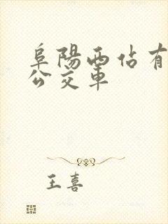 阜阳西站有哪些公交车