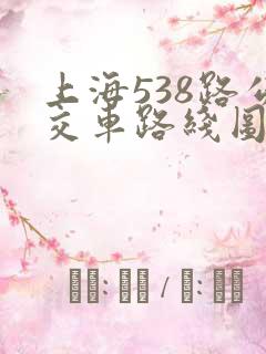 上海538路公交车路线图