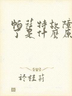 帕萨特故障灯亮了是什么原因 帕萨特故障灯亮了是什么原因