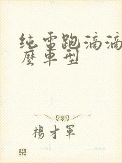 纯电跑滴滴选什么车型
