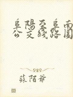 阜阳至阜南城际公交线路图
