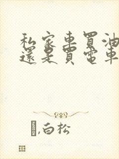 私家车买油车好还是买电车好