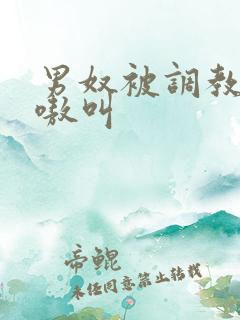 男奴被调教的嗷嗷叫