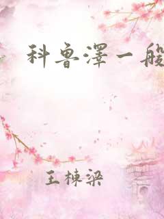 科鲁泽一般多钱