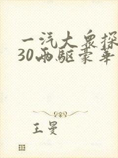 一汽大众探岳330两驱豪华型