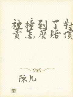 被撞到了对方全责怎么赔偿