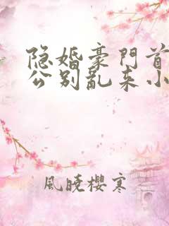 隐婚豪门首席老公别乱来小说