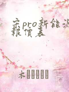 宋pro新能源报价表