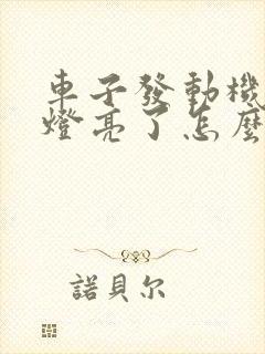 车子发动机故障灯亮了怎么回事