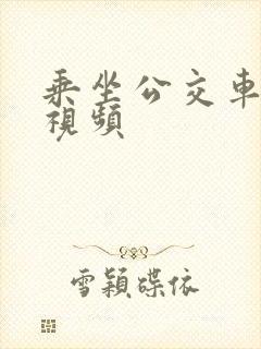 乘坐公交车日常视频 乘坐公交车日常视频