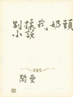 别揉我奶头嗯啊小说 别揉我奶头嗯啊小说