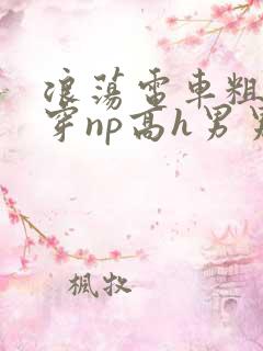浪荡电车粗大贯穿np高h男男