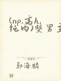(np,高h,纯肉)双男主 (np,高h,纯肉)双男主