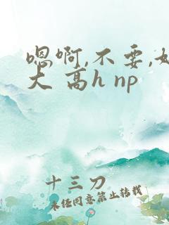 嗯啊,不要,好大 高h np