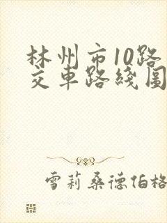 林州市10路公交车路线图