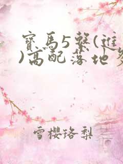 宝马5系(进口)高配落地多少钱