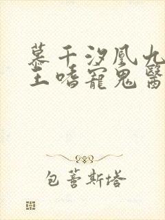 慕千汐凰九夜邪王嗜宠鬼医狂妃无弹窗