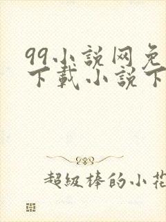 99小说网免费下载小说下载