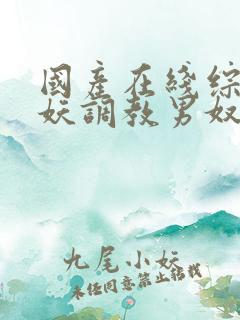国产在线综合人妖调教男奴