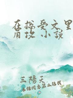 在总受文里抢主角攻 小说