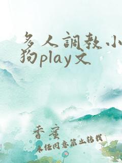 多人调教小骚母狗play文