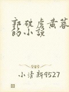 郭破虏黄蓉成亲的小说