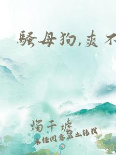 骚母狗,爽不爽