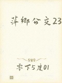 萍乡公交23路