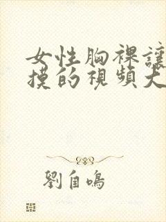 女性胸裸让男性摸的视频大全