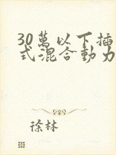 30万以下插电式混合动力车型