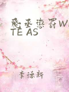 飞丞惩罚WRITE AS