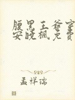 腹黑王爷穿越妃安晓枫免费阅读