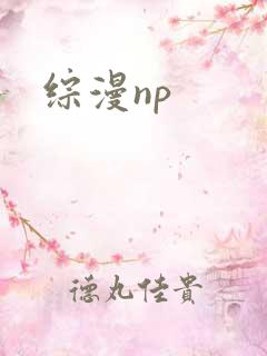 综漫np