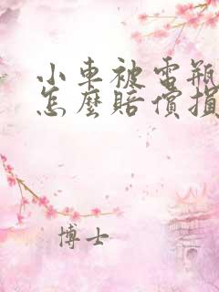 小车被电瓶车撞怎么赔偿损失