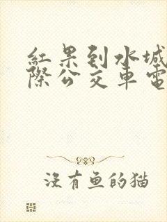 红果到水城的城际公交车电话 红果到水城的城际公交车电话