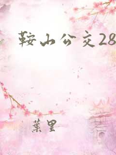 鞍山公交28路