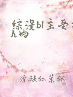 综漫bl主受高h肉