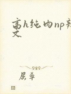 高h纯肉np辣文