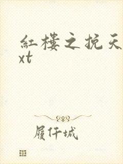 红楼之挽天倾txt