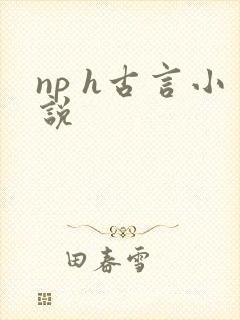 np h古言小说