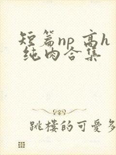 短篇np 高h 纯肉合集