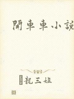 开车车小说