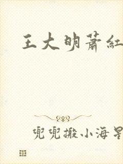 王大明萧红小说 王大明萧红小说