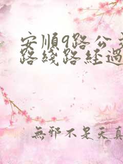 安顺9路公交车路线路经过哪些站